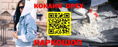 гашик Гусев