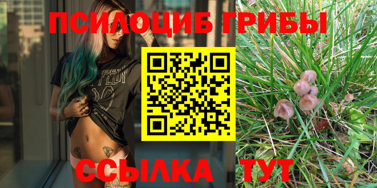 Галлюциногенные грибы Cubensis  Вход с VPN  Менделеевск  Галлюциногенные грибы мухоморы 